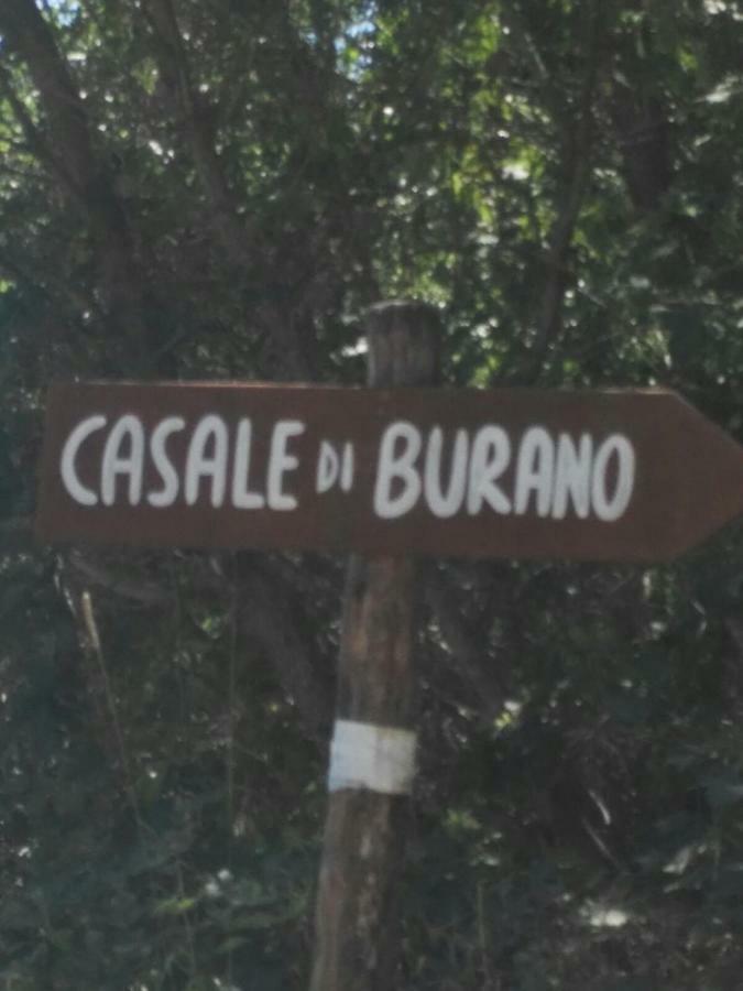 Casale Di Burano Apartment Onano Ngoại thất bức ảnh